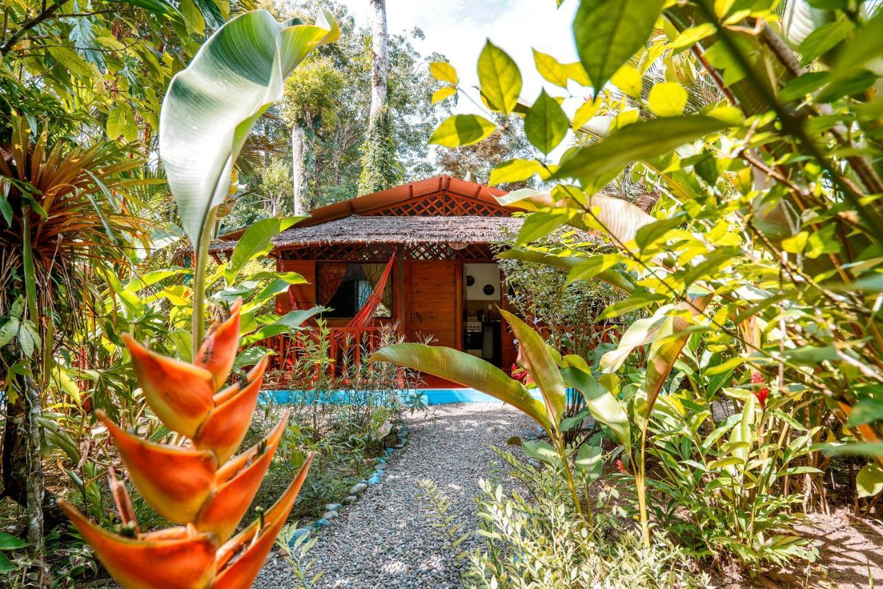 Casitas Las Flores Puerto Viejo de Talamanca Bagian luar foto