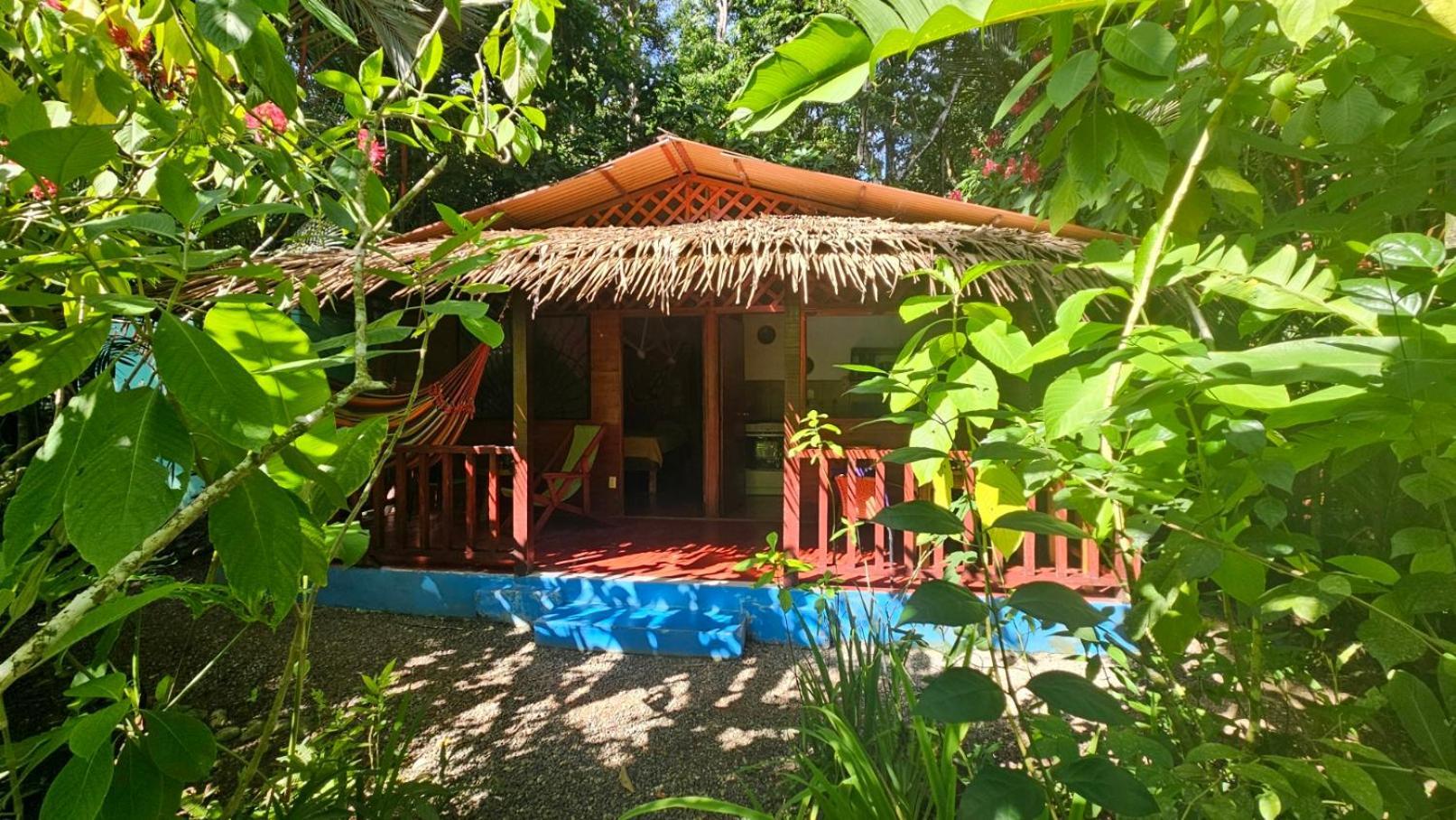 Casitas Las Flores Puerto Viejo de Talamanca Bagian luar foto