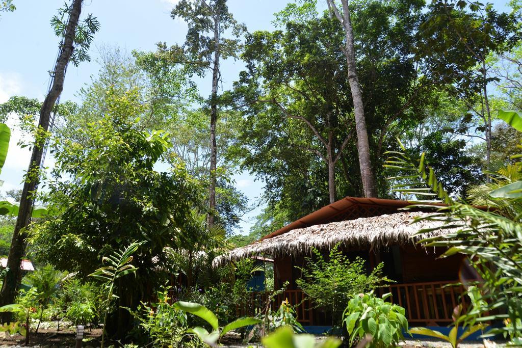 Casitas Las Flores Puerto Viejo de Talamanca Bagian luar foto