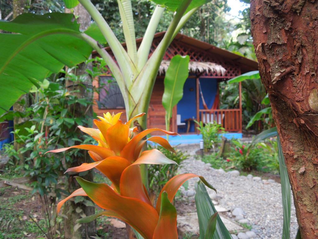 Casitas Las Flores Puerto Viejo de Talamanca Bagian luar foto