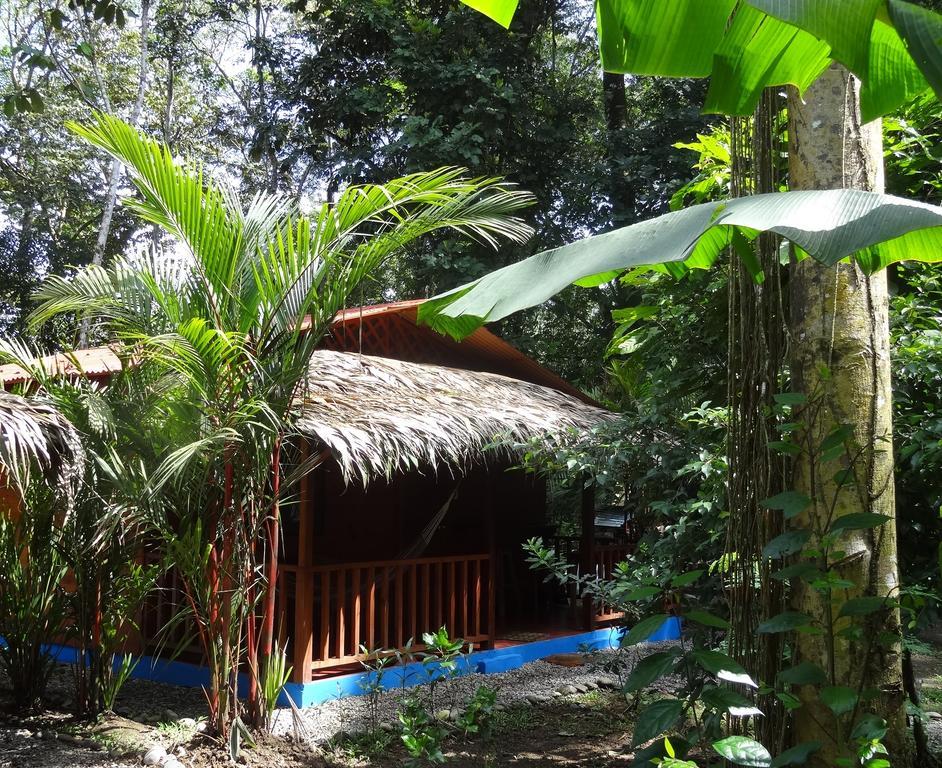 Casitas Las Flores Puerto Viejo de Talamanca Bagian luar foto