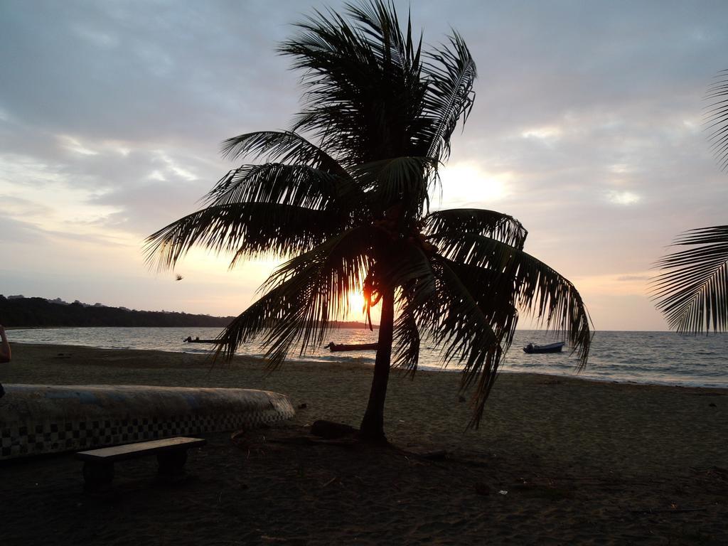 Casitas Las Flores Puerto Viejo de Talamanca Bagian luar foto